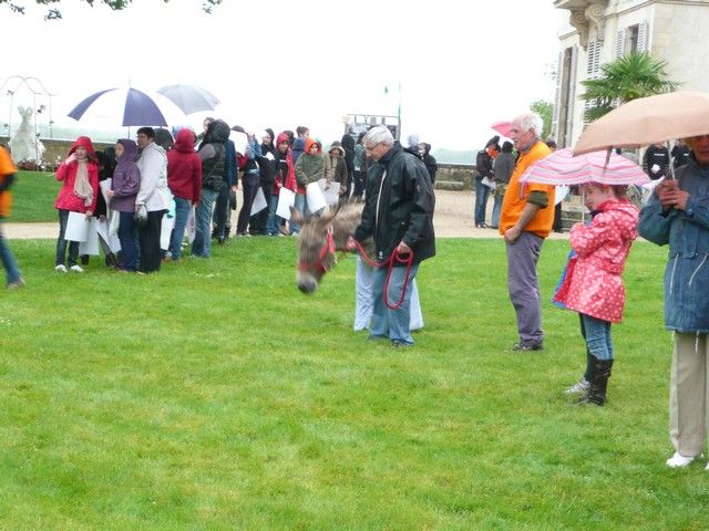 rodho 2013 (54).jpg